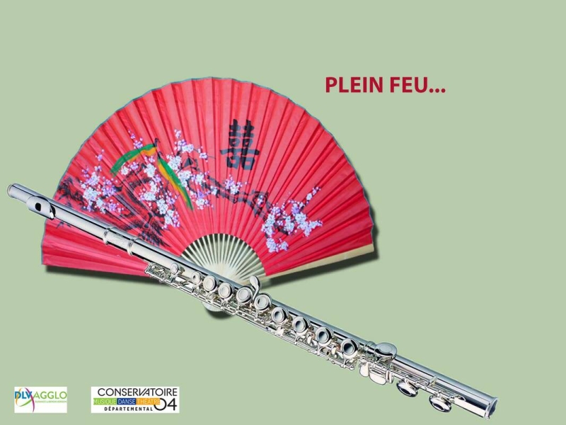PLEINFEUCHINE