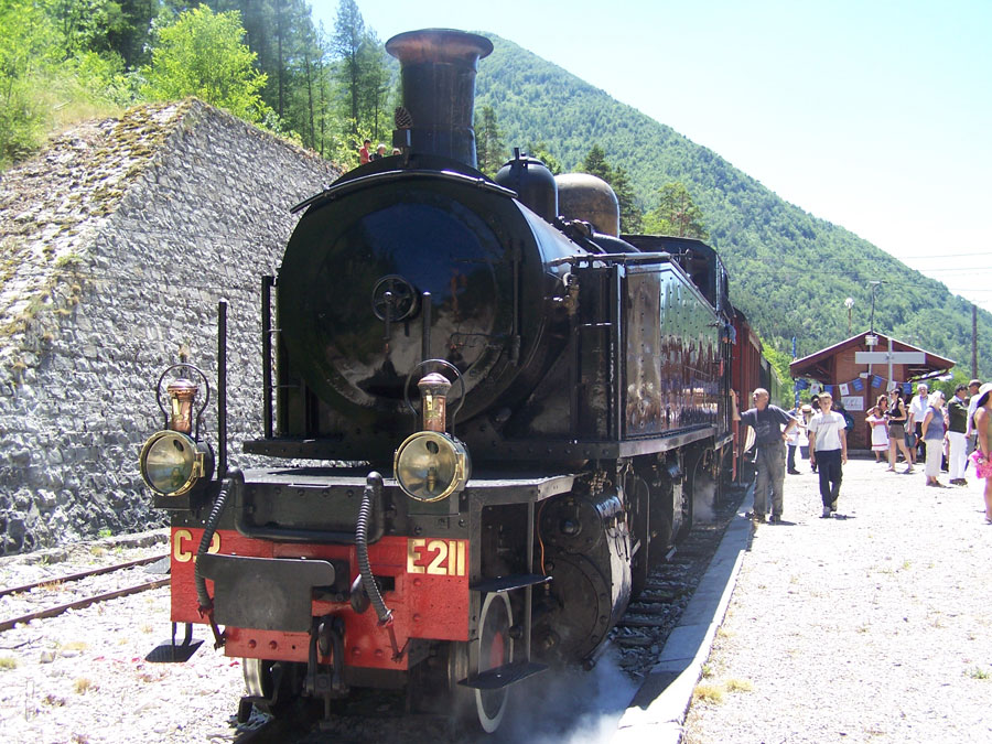 train pignes 372011-018